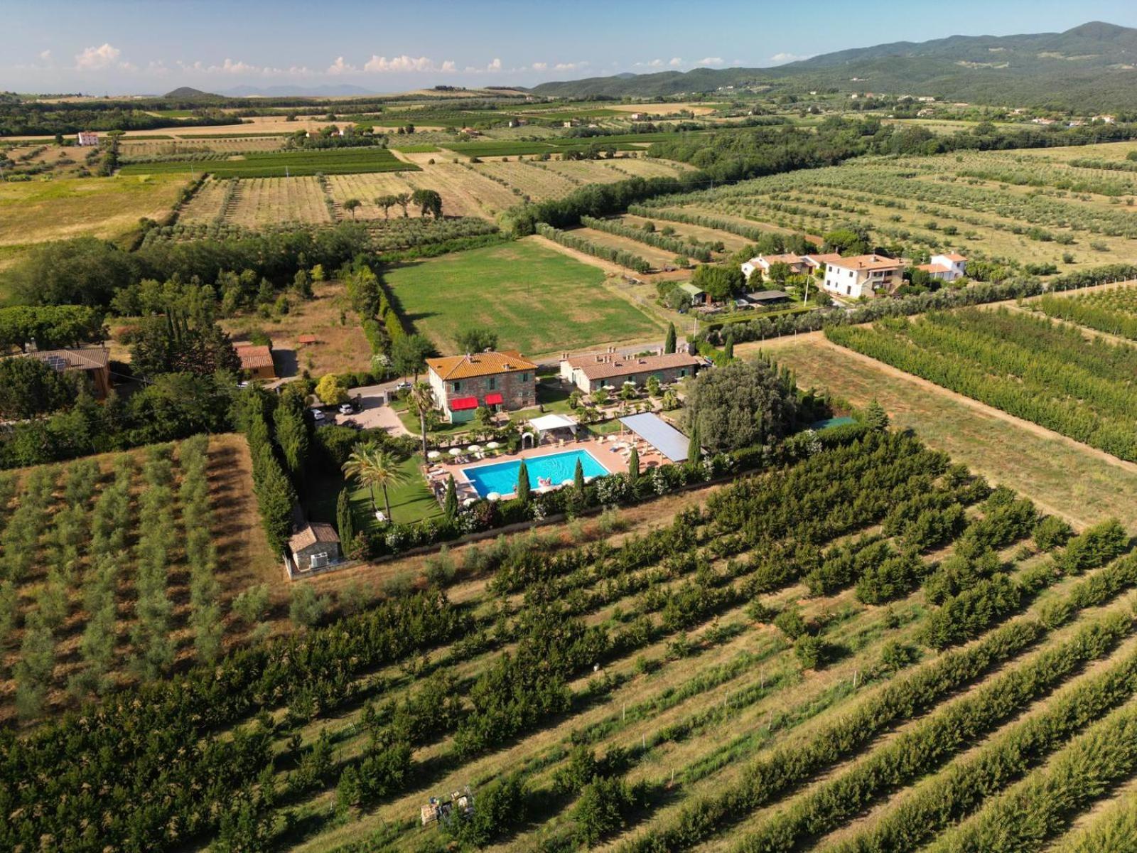 Podere Gli Olmi 체치나 외부 사진